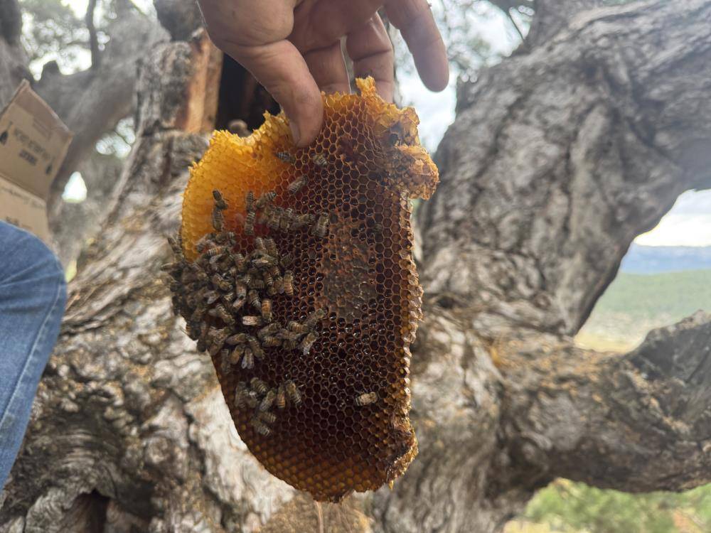 Konya’ya kadar firari izi sürüp hazineye ulaşıyorlar 4